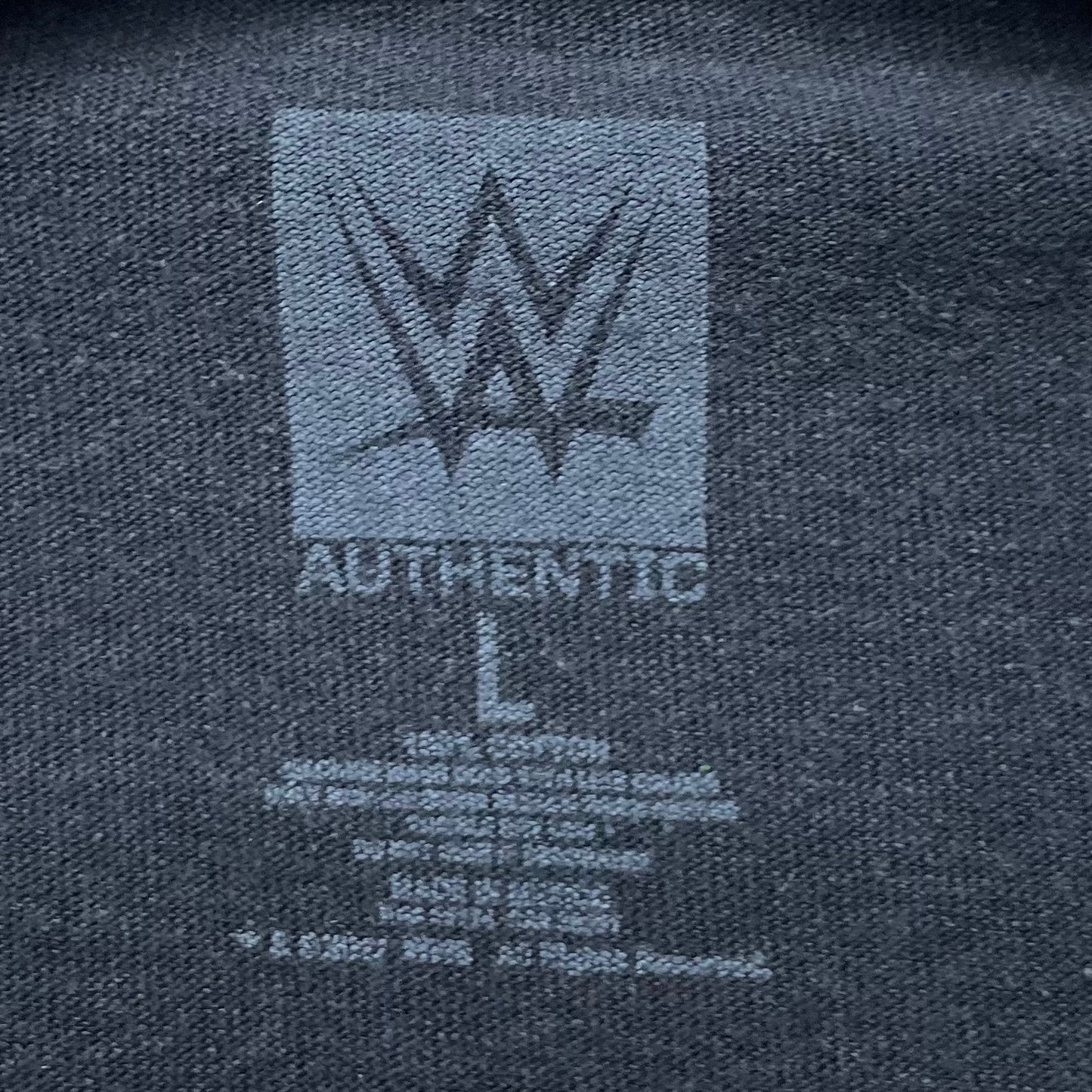 00s vintage 古着 ビンテージ ワールドレスリング ブラック オーバーサイズ wwf BIGプリント ストリート