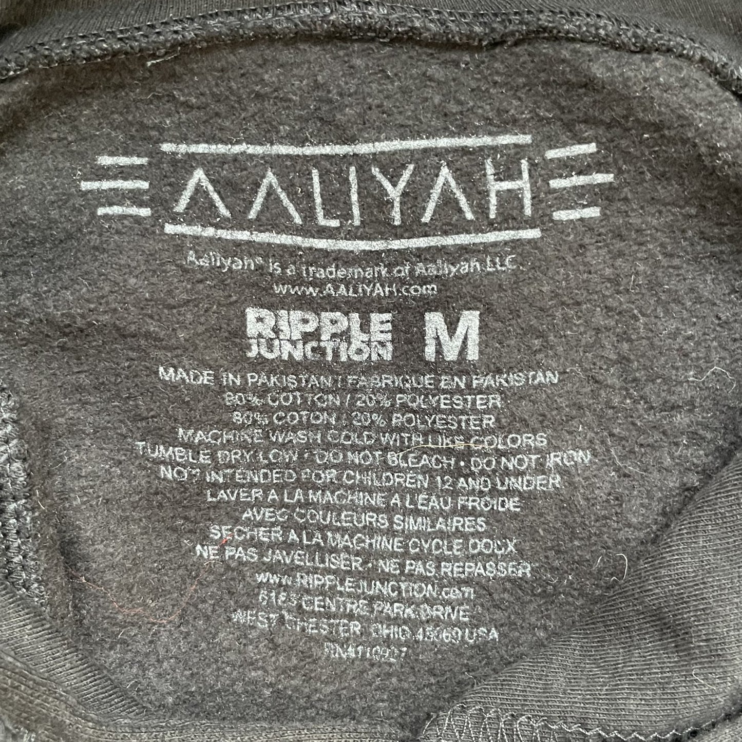 00s vintage 古着 ビンテージ アリーヤ ALIYAH フォト パーカー スウェット ミュージック R&B PRINCESS