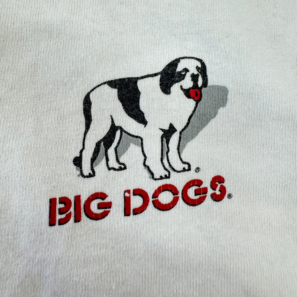 00s' Big Dogs 半袖Tシャツ アイスホッケー ダブルステッチ メキシコ製 アメカジ 古着 Lサイズ