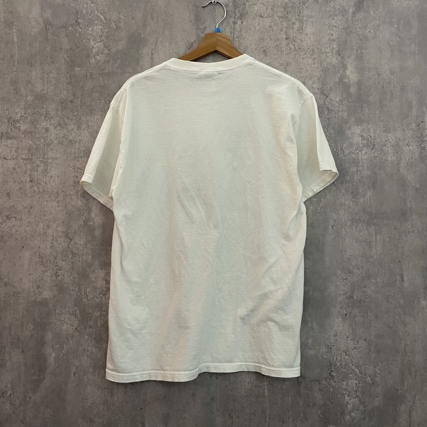 90s vintage 古着　ビンテージ　フルーツオブザルーム　FRUIT OF THE LOOM Tシャツ　戦争　アメカジ