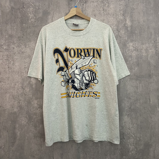 90s vintage 古着　ビンテージ　フルーツオブザルーム　Tシャツ　フロントプリント　両シングル　ストリート　グレー