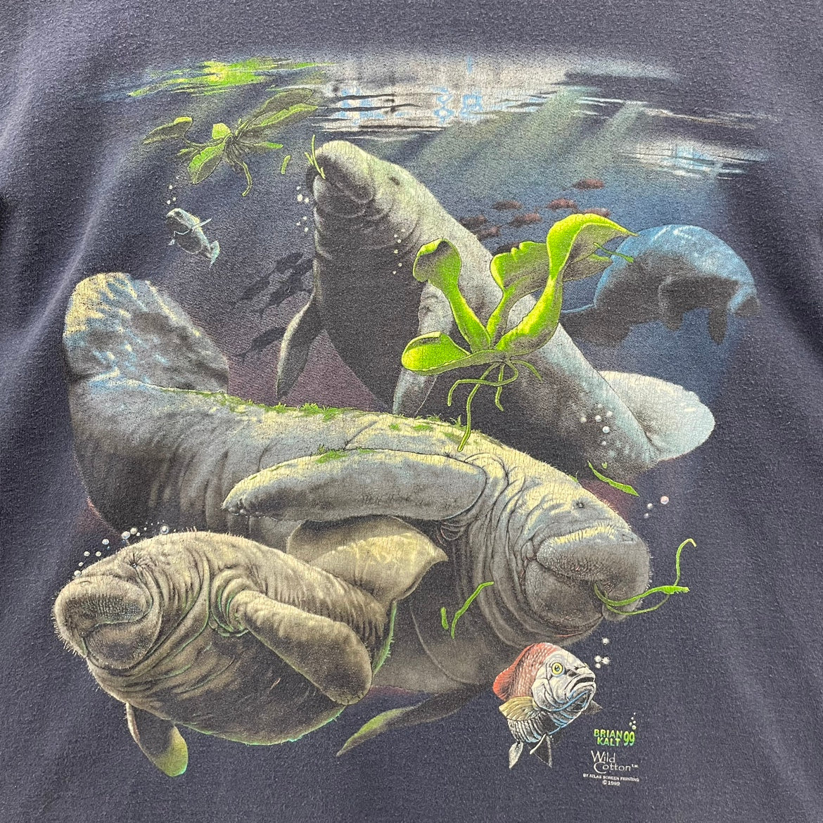 90s USA製 Wild Cotton BRIAN KALT 99 アートTシャツ マナティ 動物 アニマル 半袖 古着 ビンテージ ネイビー XL