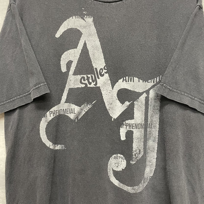 00s vintage 古着　ビンテージ　ワールドレスリング　ブラック　オーバーサイズ　wwf BIGプリント　ストリート