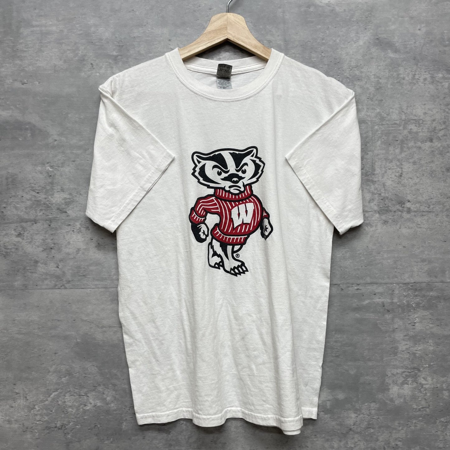 00s vintage 古着　ビンテージ　ギルダン　GILDAN　バッキーバジャー　ウィスコンシン　BuckyBadger