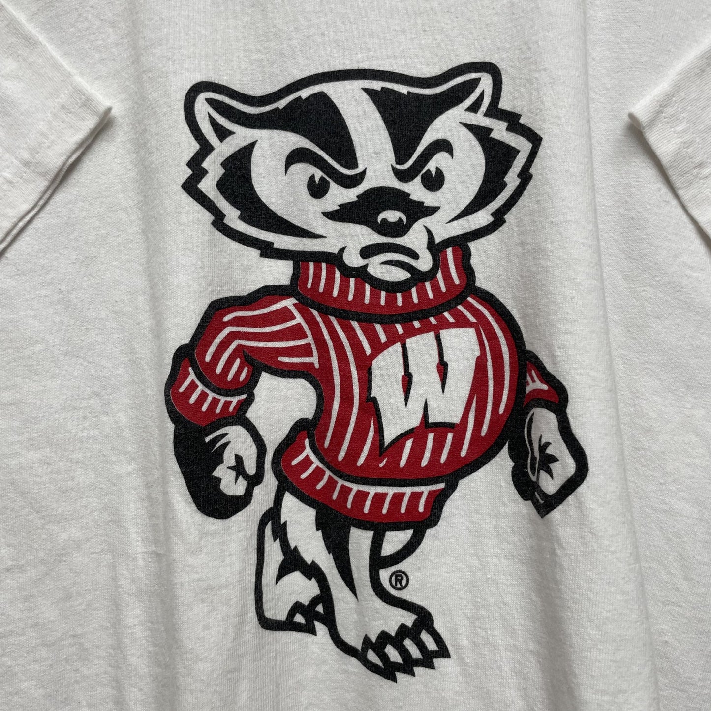 00s vintage 古着　ビンテージ　ギルダン　GILDAN　バッキーバジャー　ウィスコンシン　BuckyBadger