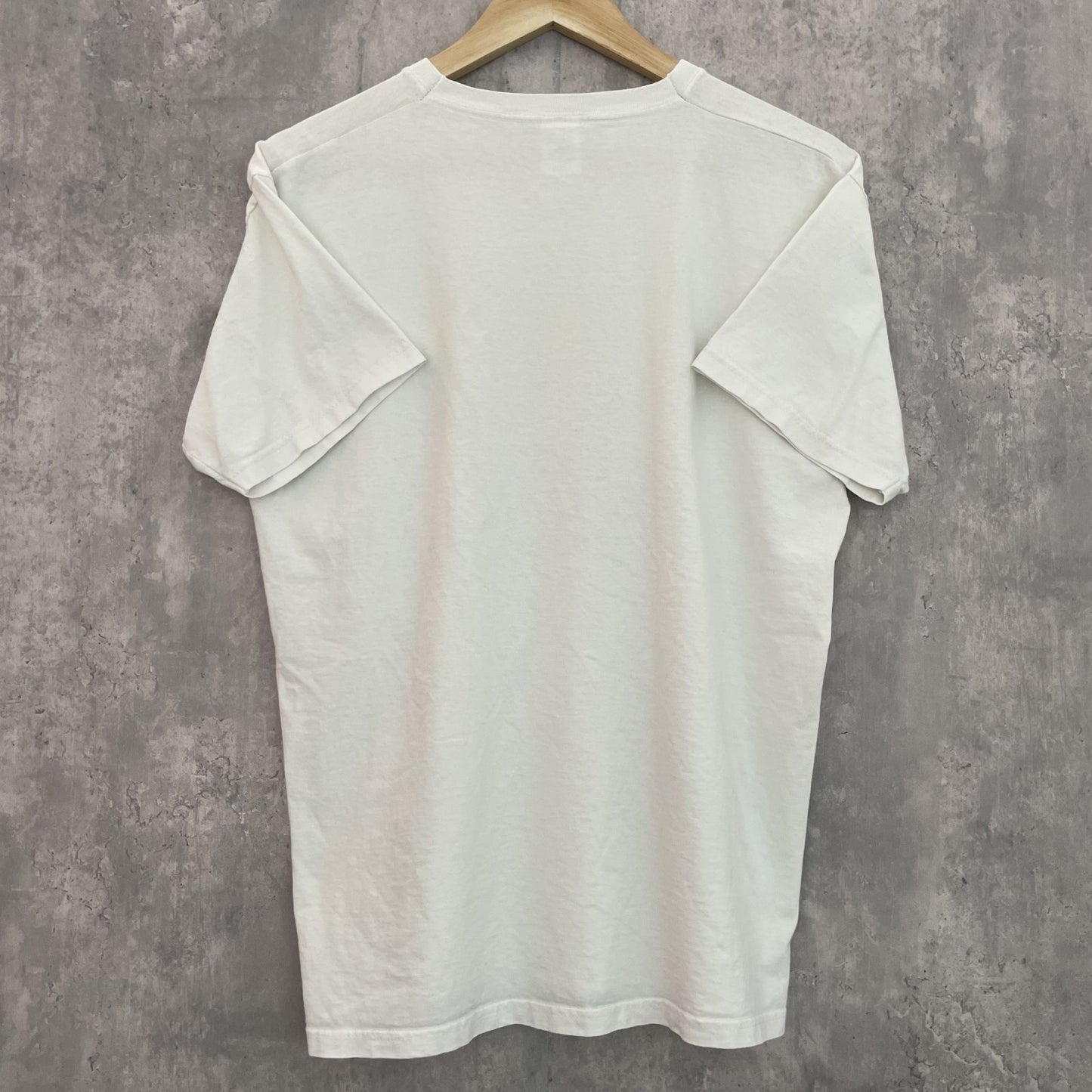 90s vintage 古着　ビンテージ　フルーツオブザルーム　CARING FRUITOFTHELOOM スケーター　ストリート　アメカジ