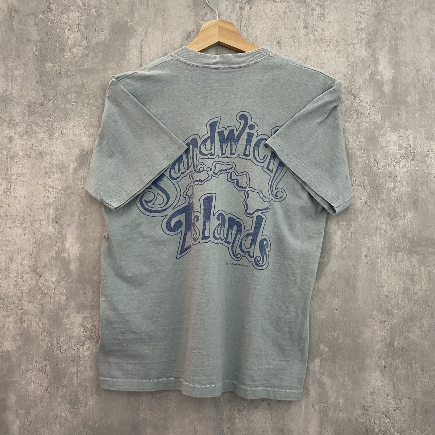 90s vintage 古着　ビンテージ　両シングルステッチ　スケーター　カジュアル　バックプリント　フロント無地