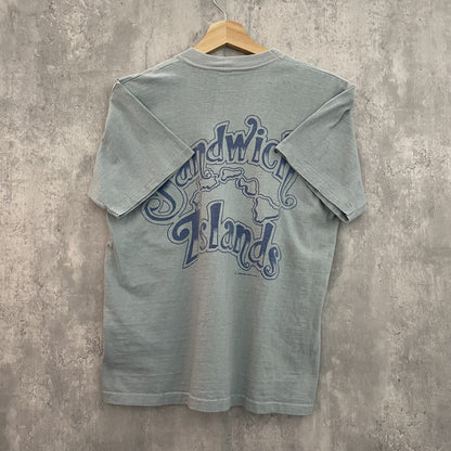 90s vintage 古着　ビンテージ　両シングルステッチ　スケーター　カジュアル　バックプリント　フロント無地