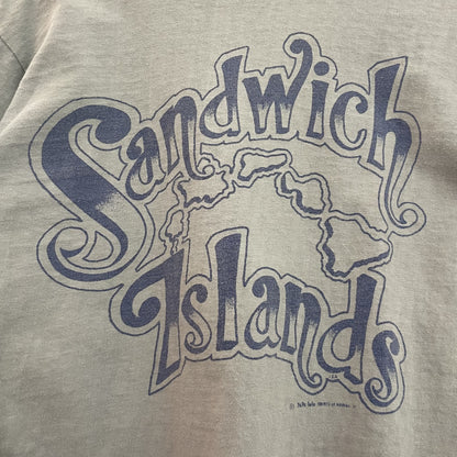 90s vintage 古着　ビンテージ　両シングルステッチ　スケーター　カジュアル　バックプリント　フロント無地