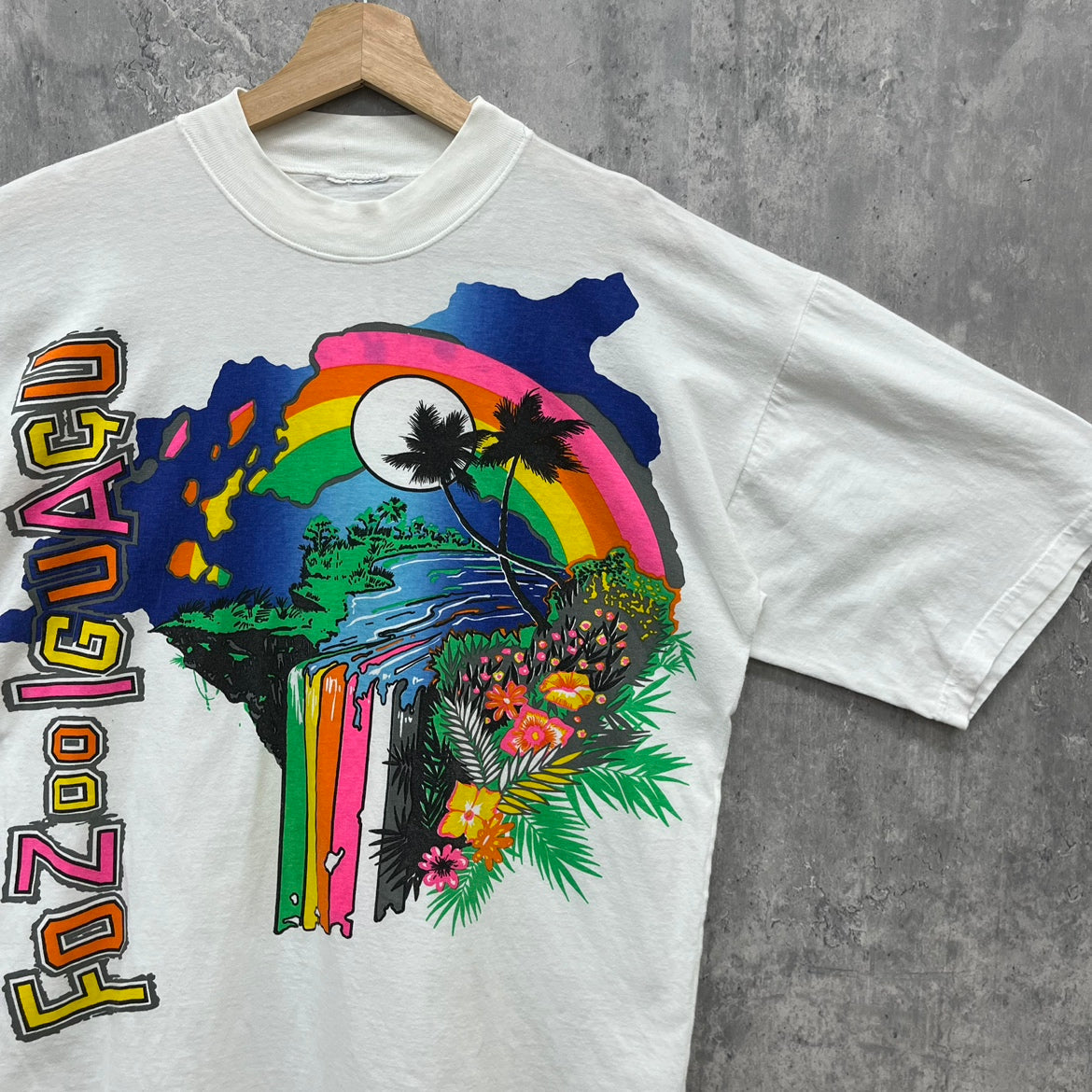 FOZOOIGUACU スーベニアTシャツ 半袖 お土産 記念品 イラスト アート 古着 ビンテージ ホワイト L相当