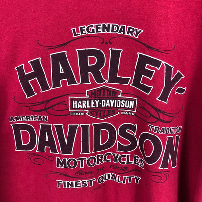 2018年 HARLEY-DAVIDSON ハーレーダヴィットソン 両面プリント ロンT ロングTシャツ ビッグサイズ